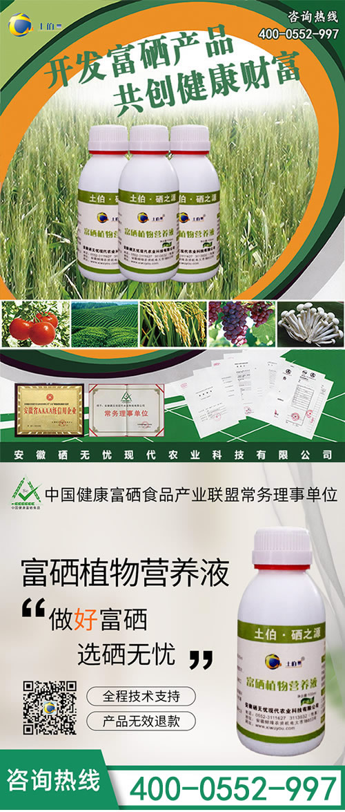 ������,��������